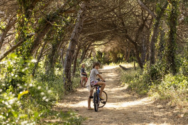 Ragazzi in bicicletta su un sentiero alberato.