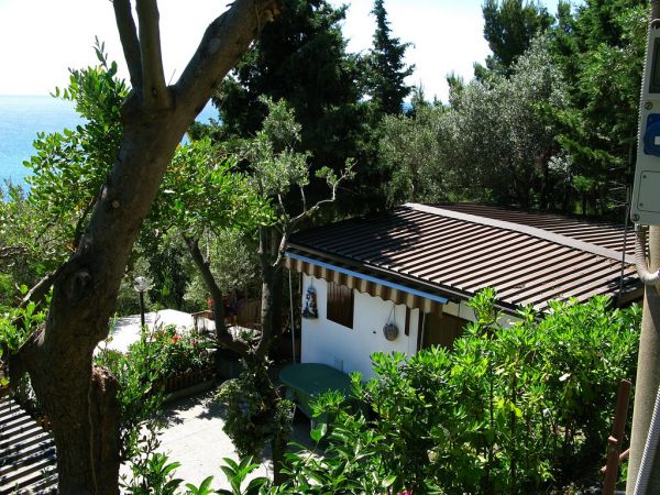 Vista esterna di una casa tra gli alberi.