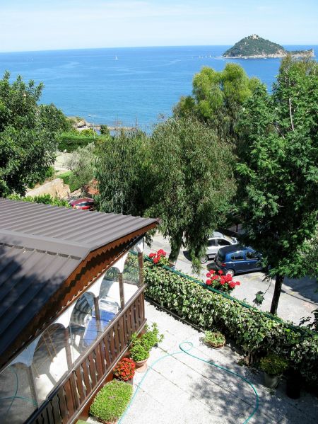 Vista sul mare, albero e terrazza con piante.