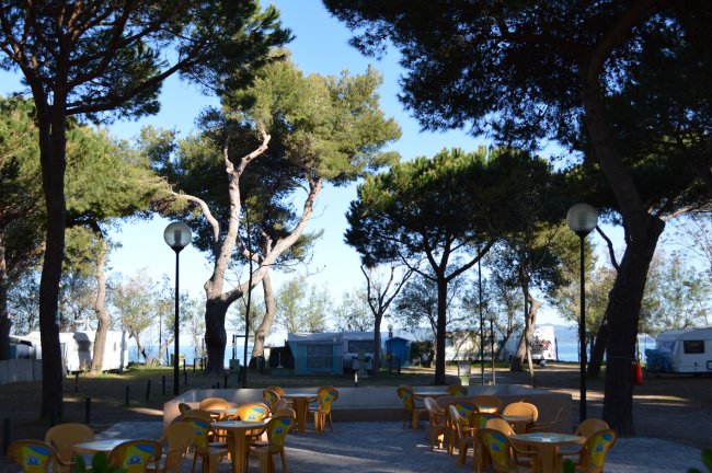 Area esterna con tavoli e sedie tra gli alberi.
