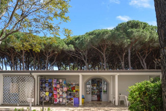 Negozio con souvenir e alberi sullo sfondo.