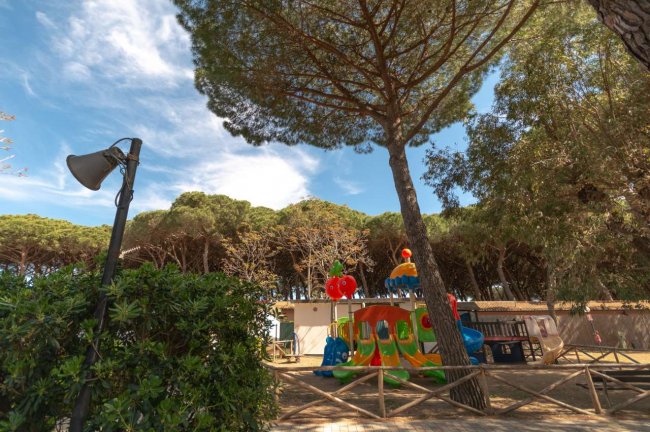 Parco giochi colorato tra alberi.
