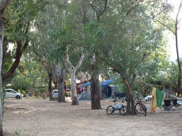 Campeggio con tende, biciclette e alberi.