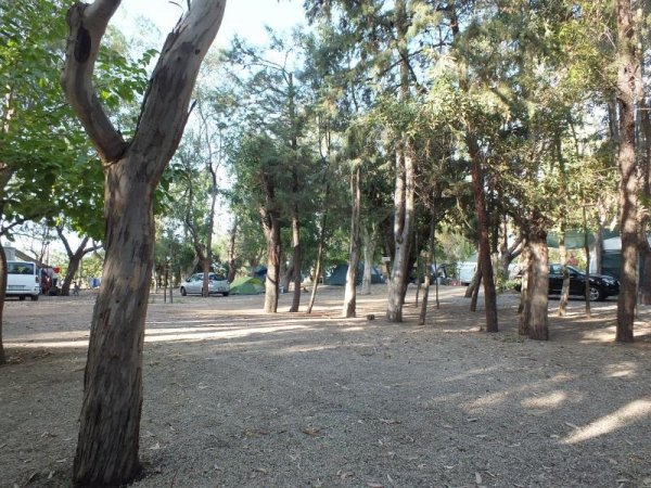 Spiazzo di campeggio ombreggiato da alberi.