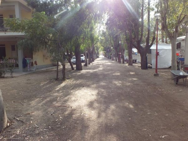 Strada alberata con case e roulotte ai lati.