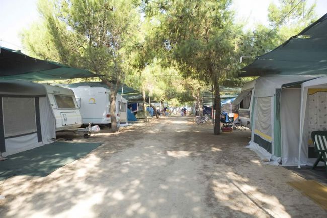 Area campeggio con camper e tende sotto gli alberi.