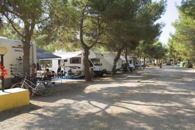Camper allineati in una zona ombreggiata da alberi.