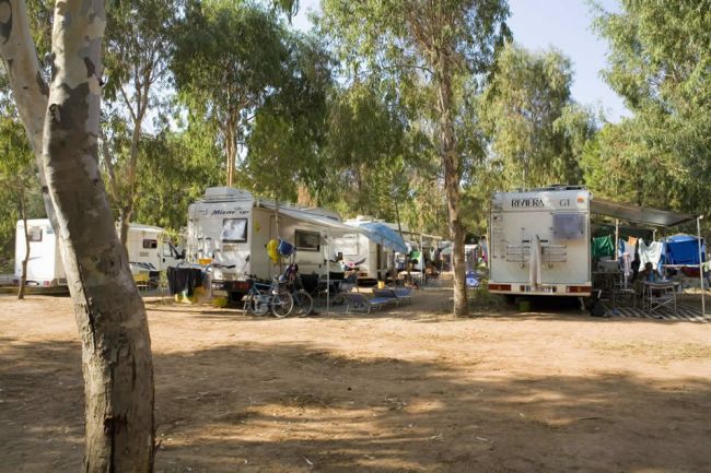 Camper parcheggiati su terreno boscoso con biciclette.