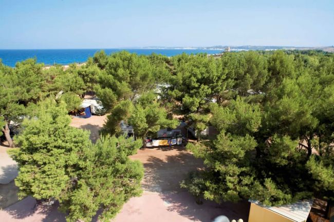 Campeggio alberato con vista sul mare.