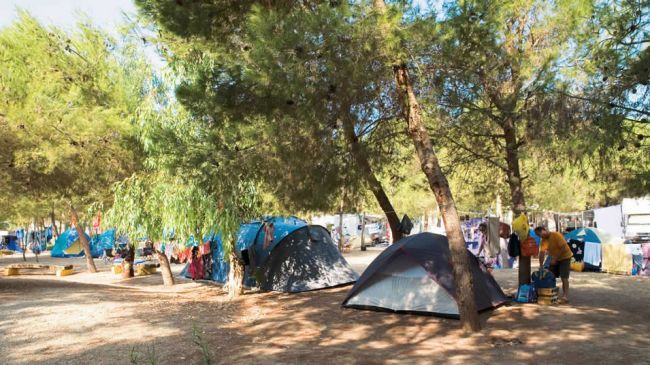 Campeggio tra gli alberi con tende blu e grigie.
