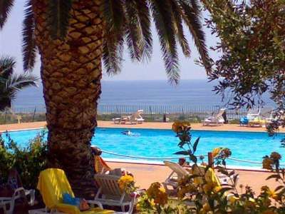 Piscina con veduta sull'oceano, circondata da palme e lettini.