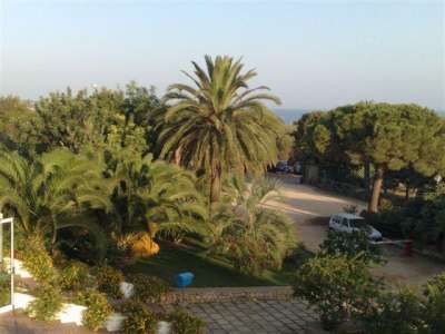 Un giardino con palme e alberi verdi, con vista sul mare in lontananza.