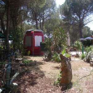 Un piccolo edificio rosso tra alberi e piante, con un sentiero in terra.