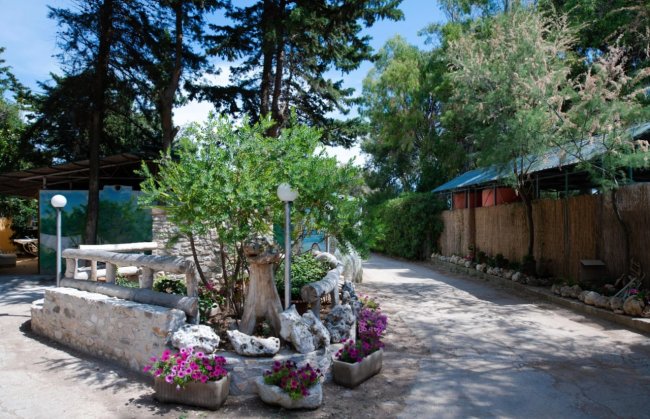 Vialetto esterno con piante, aiuole fiorite e strutture in pietra sotto gli alberi.