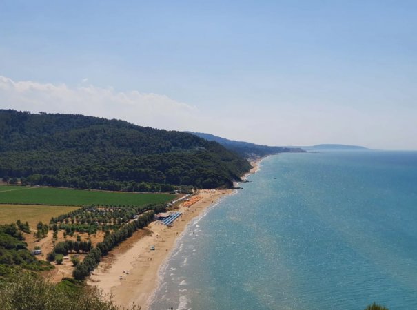 Lunga spiaggia sabbiosa con mare azzurro e colline verdi.