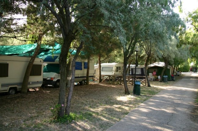 Area campeggio con camper all'ombra degli alberi.