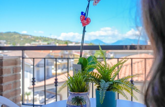 Due piante in vaso su un tavolo con vista su tetti e montagne attraverso una ringhiera.