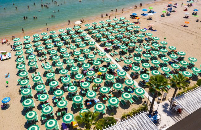 Numerosi ombrelloni verdi disposti ordinatamente sulla sabbia vicino al mare.