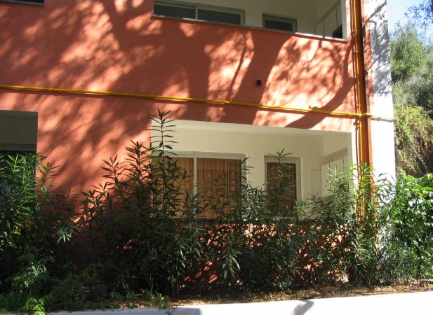 Esterno di un edificio arancione con piante.