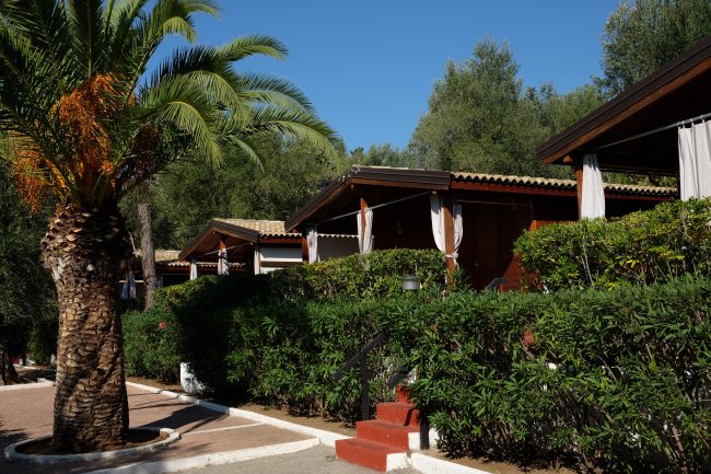 Bungalow con palme e siepi sotto un cielo blu.