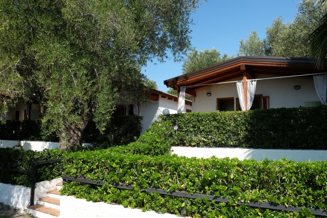 Bungalow bianchi fra alberi e arbusti verdi.