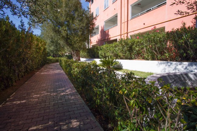 Sentiero alberato accanto a un edificio rosa.