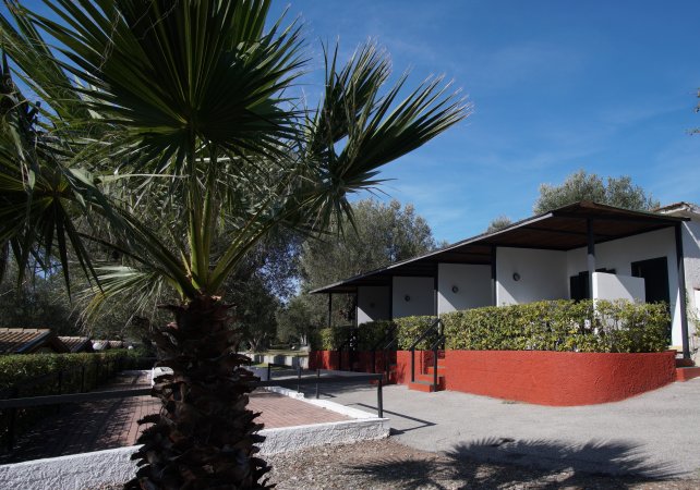 Edificio bianco con terrazza rossa e palmizio in primo piano.
