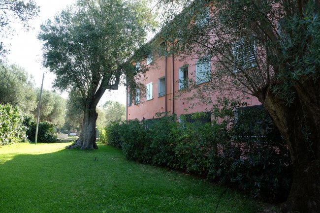 Edificio rosa con prato e alberi intorno.