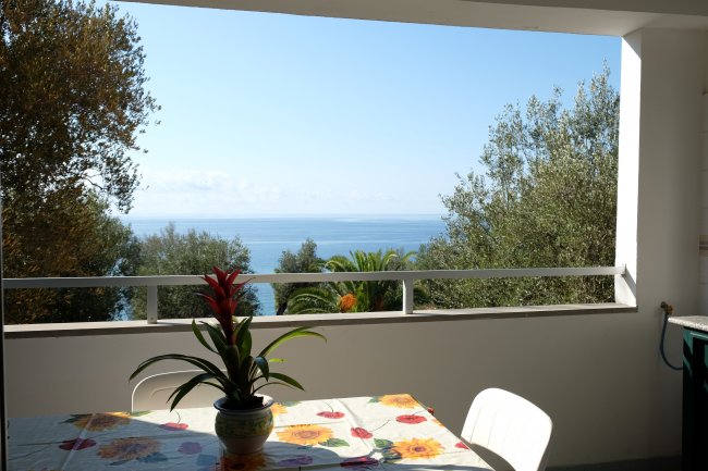 Vista mare da una terrazza con pianta su tavolo.