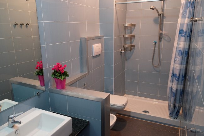 Bagno moderno, piastrelle blu, doccia e fiori rosa.