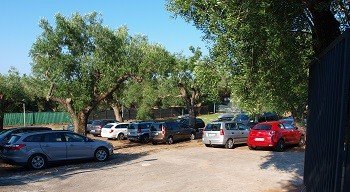 Area parcheggio con molte auto e alberi.
