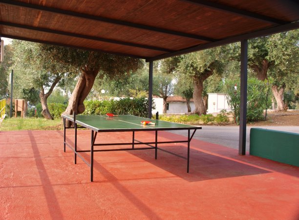 Tavolo da ping pong sotto una tettoia.
