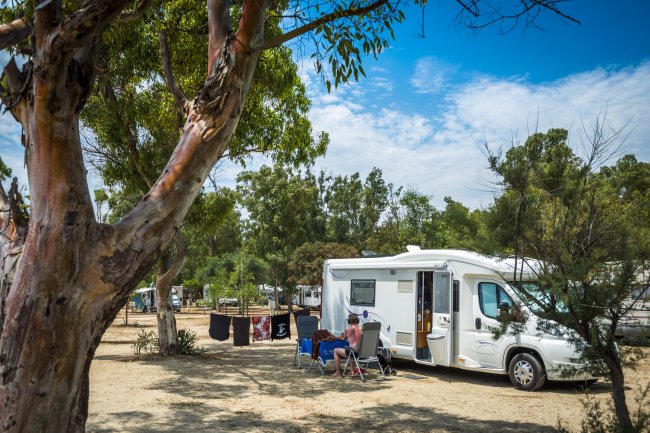 Camper parcheggiato tra alberi e persone sedute all'esterno.