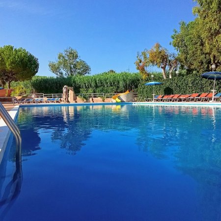 Piscina blu circondata da verde.