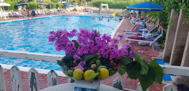 Un'ampia piscina con bagnanti e fiori viola in primo piano.