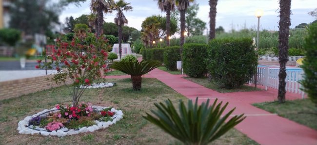 Sentiero rosso tra siepi e palme in un giardino curato con aiuole fiorite.
