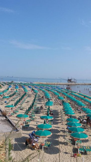 Spiaggia con file di ombrelloni verdi allineati, vista mare in lontananza.