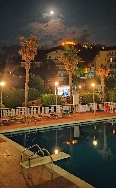 Piscina notturna illuminata con palme e luna sullo sfondo.