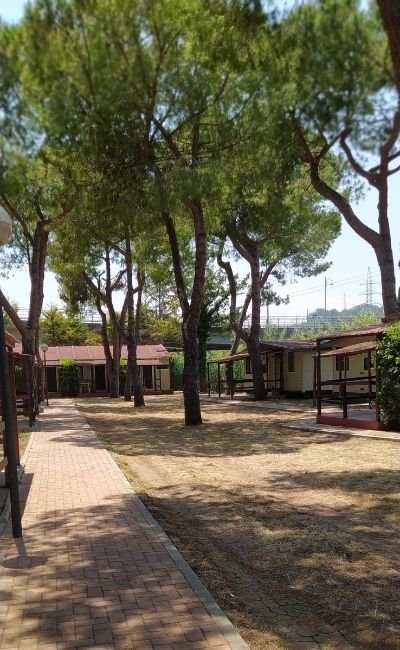 Area con bungalow tra alberi alti, vialetto in mattonelle su terreno erboso.