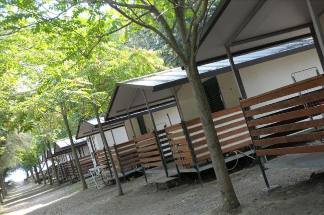 Bungalows allineati sotto gli alberi.