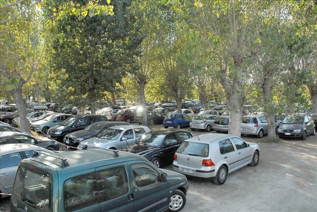 Parcheggio sotto alberi, auto parcheggiate.
