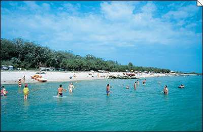 Spiaggia con persone che nuotano e vegetazione sullo sfondo.