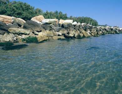 Rocce lungo una costa con acqua limpida e vegetazione verde sullo sfondo.