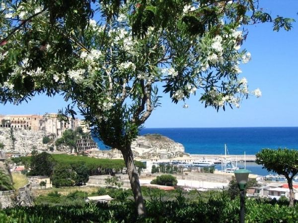 Vista sul mare con alberi fioriti in primo piano e un porto sullo sfondo.