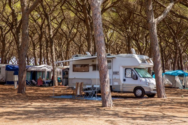 California Camping Village (VT) Lazio