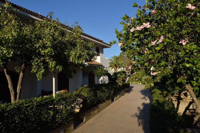 Stradina con alberi fioriti e edifici bianchi.