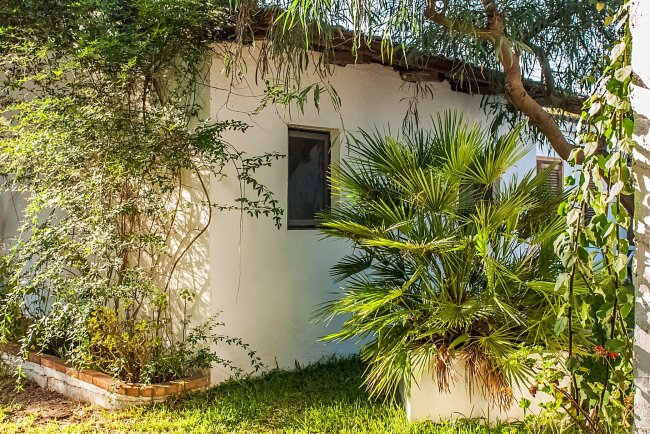 Piccola casa bianca con finestre, circondata da piante e alberi, in un giardino verde.