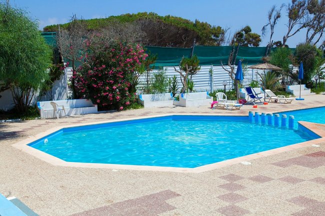 Piscina di forma irregolare con lettini e ombrelloni, circondata da vegetazione.