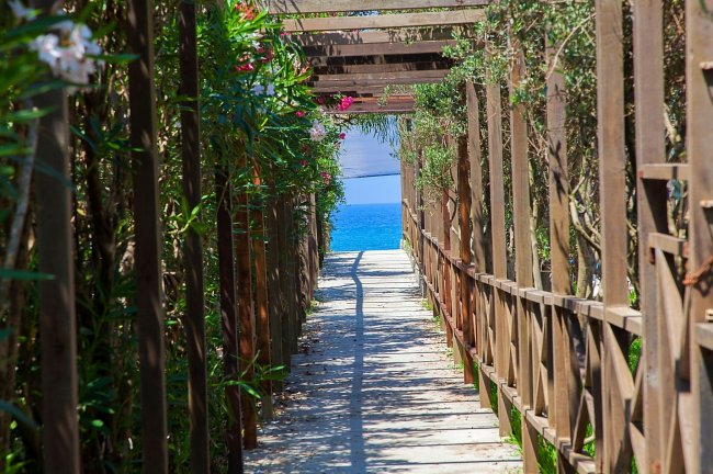 Passerella in legno tra piante con vista sul mare azzurro.