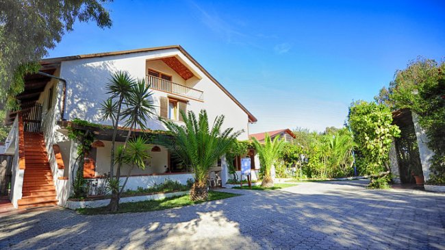 Un edificio bianco circondato da palme e vegetazione, con cielo blu e cortile pavimentato.